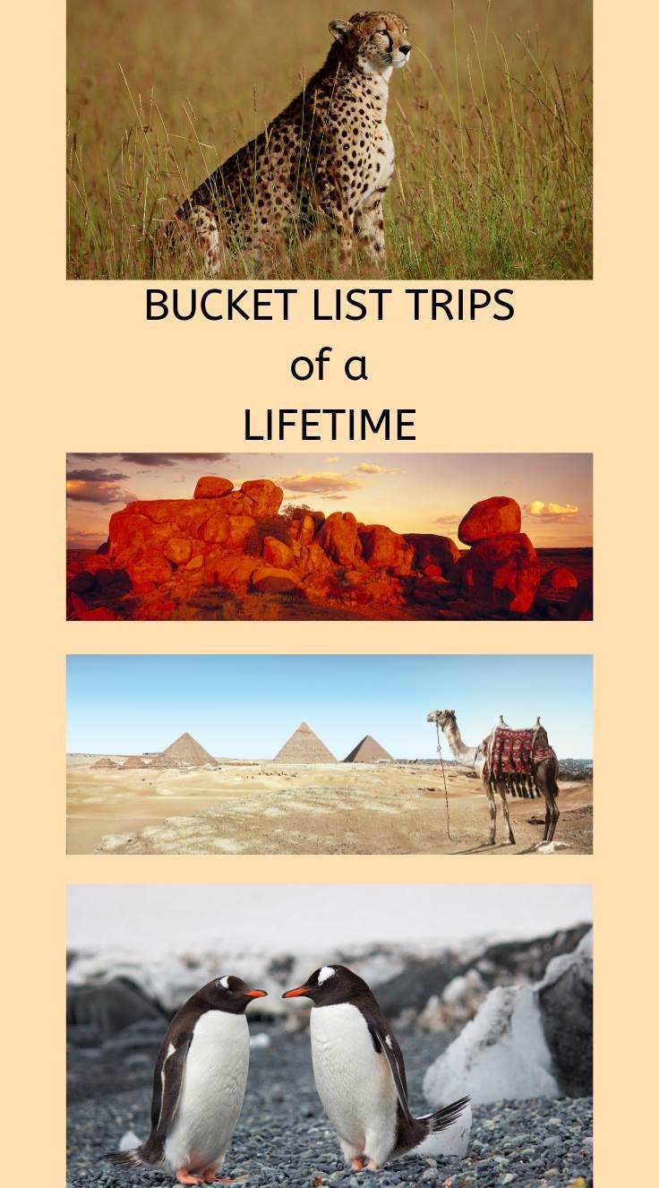 Bucket List Trips Of A Lifetime Top Places To Visit Frequent Traveller